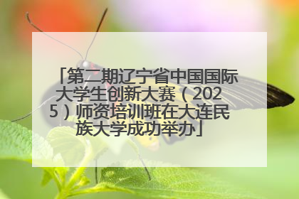 第二期辽宁省中国国际大学生创新大赛（2025）师资培训班在大连民族大学成功举办