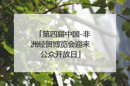 第四届中国-非洲经贸博览会迎来公众开放日
