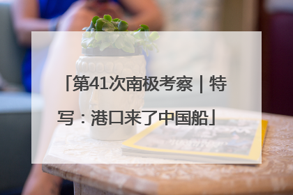第41次南极考察｜特写：港口来了中国船