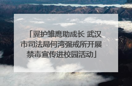 翼护雏鹰助成长 武汉市司法局何湾强戒所开展禁毒宣传进校园活动