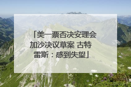 美一票否决安理会加沙决议草案 古特雷斯：感到失望