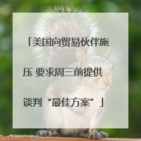 美国向贸易伙伴施压 要求周三前提供谈判“最佳方案”