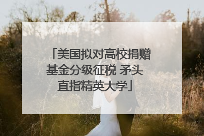 美国拟对高校捐赠基金分级征税 矛头直指精英大学