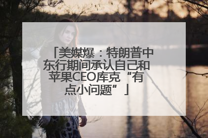 美媒爆：特朗普中东行期间承认自己和苹果CEO库克“有点小问题”