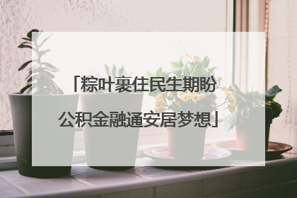 粽叶裹住民生期盼 公积金融通安居梦想