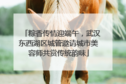 粽香传情迎端午，武汉东西湖区城管邀请城市美容师共赏传统韵味