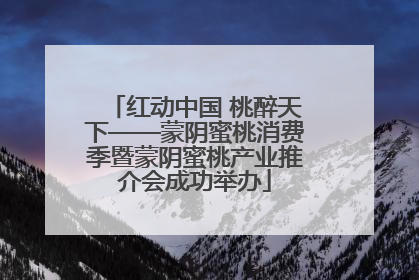 红动中国 桃醉天下——蒙阴蜜桃消费季暨蒙阴蜜桃产业推介会成功举办