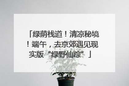绿荫栈道！清凉秘境！端午，去京郊遇见现实版“绿野仙踪”