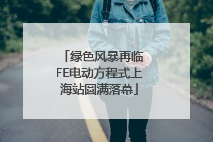 绿色风暴再临 FE电动方程式上海站圆满落幕