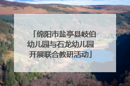 绵阳市盐亭县岐伯幼儿园与石龙幼儿园开展联合教研活动
