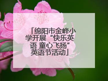 绵阳市金峰小学开展“快乐英语 童心飞扬”英语节活动