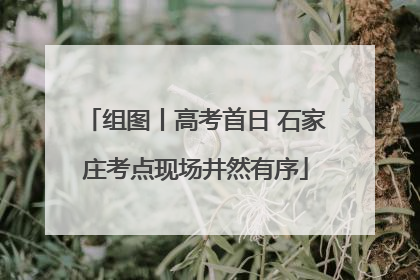组图丨高考首日 石家庄考点现场井然有序