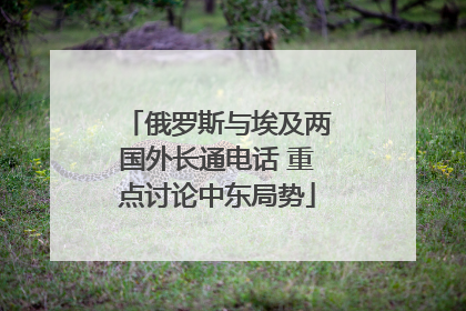 俄罗斯与埃及两国外长通电话 重点讨论中东局势