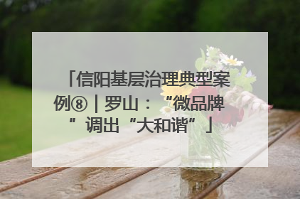 信阳基层治理典型案例⑧｜罗山：“微品牌”调出“大和谐”