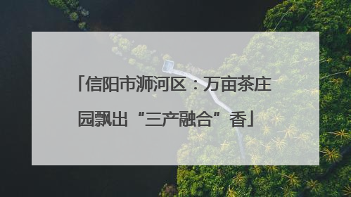 信阳市浉河区：万亩茶庄园飘出“三产融合”香