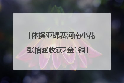 体操亚锦赛河南小花张怡涵收获2金1铜