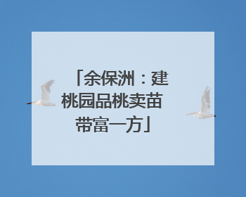 余保洲：建桃园品桃卖苗带富一方