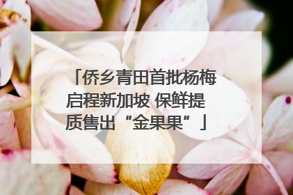 侨乡青田首批杨梅启程新加坡 保鲜提质售出“金果果”