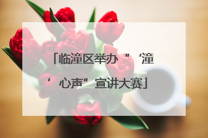临潼区举办“‘潼’心声”宣讲大赛