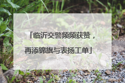 临沂交警频频获赞，再添锦旗与表扬工单