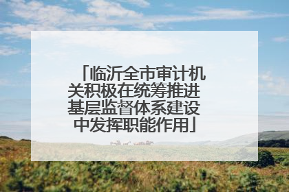 临沂全市审计机关积极在统筹推进基层监督体系建设中发挥职能作用