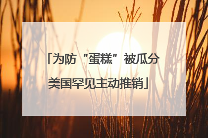 为防“蛋糕”被瓜分 美国罕见主动推销