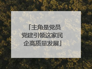 主角是党员 党建引领这家民企高质量发展