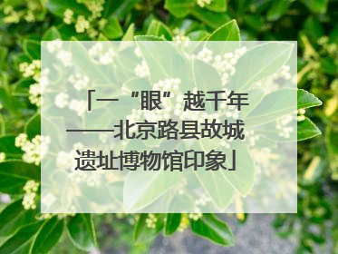 一“眼”越千年——北京路县故城遗址博物馆印象