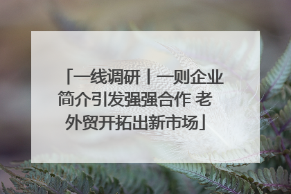 一线调研丨一则企业简介引发强强合作 老外贸开拓出新市场