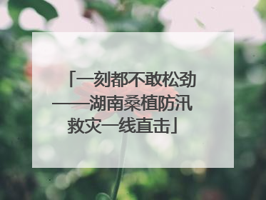 一刻都不敢松劲——湖南桑植防汛救灾一线直击