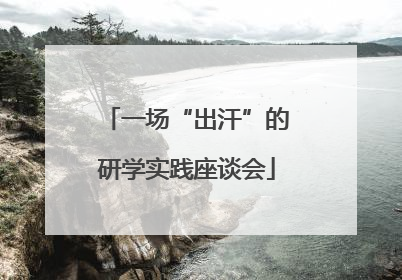 一场“出汗”的研学实践座谈会