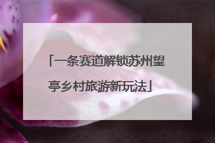 一条赛道解锁苏州望亭乡村旅游新玩法