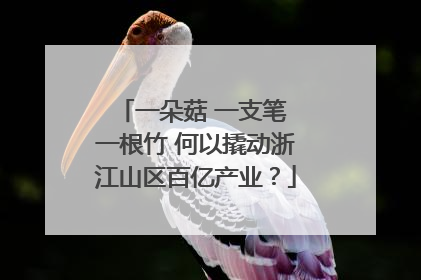 一朵菇 一支笔 一根竹 何以撬动浙江山区百亿产业？