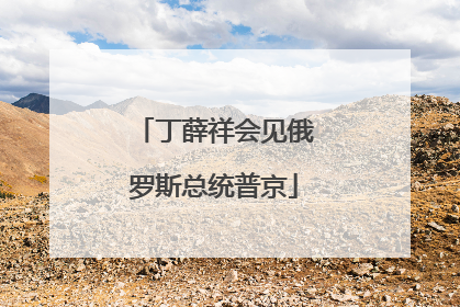 丁薛祥会见俄罗斯总统普京