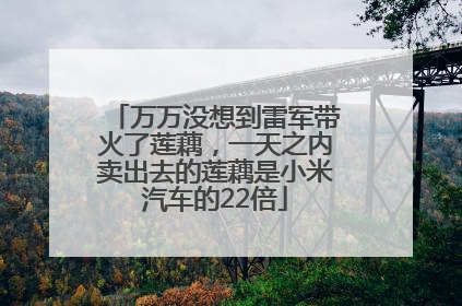 万万没想到雷军带火了莲藕，一天之内卖出去的莲藕是小米汽车的22倍