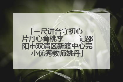 三尺讲台守初心 一片丹心育桃李——记邵阳市双清区新渡中心完小优秀教师姚丹