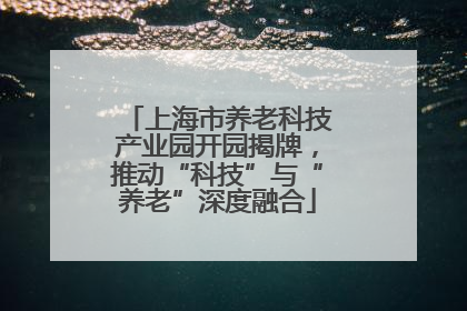 上海市养老科技产业园开园揭牌，推动“科技”与“养老”深度融合