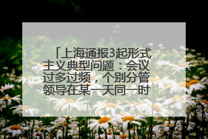 上海通报3起形式主义典型问题：会议过多过频，个别分管领导在某一天同一时段需参加3个会议