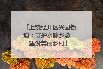 上饶经开区兴园街道：守护水脉乡愁 建设美丽乡村