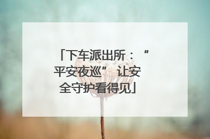 下车派出所：“平安夜巡” 让安全守护看得见