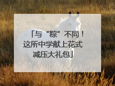 与“粽”不同！这所中学献上花式减压大礼包