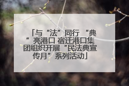 与“法”同行 “典”亮港口 宿迁港口集团组织开展“民法典宣传月”系列活动