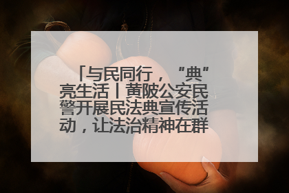 与民同行，“典”亮生活丨黄陂公安民警开展民法典宣传活动，让法治精神在群众心中落地生根