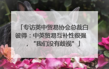 专访英中贸易协会总裁白彼得：中英贸易互补性很强，“我们没有歧视”
