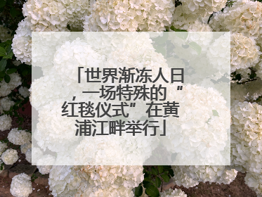世界渐冻人日，一场特殊的“红毯仪式”在黄浦江畔举行