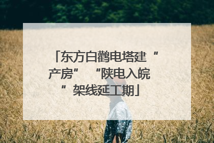 东方白鹳电塔建“产房” “陕电入皖”架线延工期