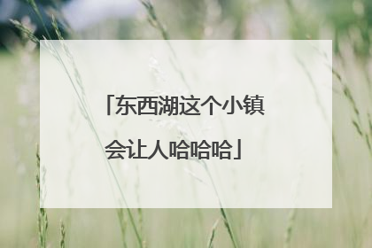 东西湖这个小镇会让人哈哈哈