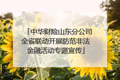 中华财险山东分公司全省联动开展防范非法金融活动专题宣传
