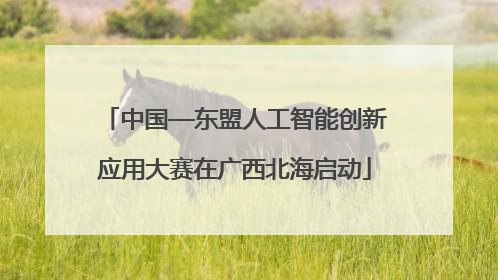 中国—东盟人工智能创新应用大赛在广西北海启动