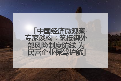 中国经济微观察·专家谈构：筑抵御外部风险制度防线 为民营企业保驾护航